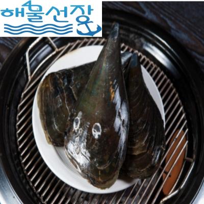 키조개 [해물선장] 싱싱한 자연산 남해안 키조개 / 3마리, 6마리, 9마리, 9마리