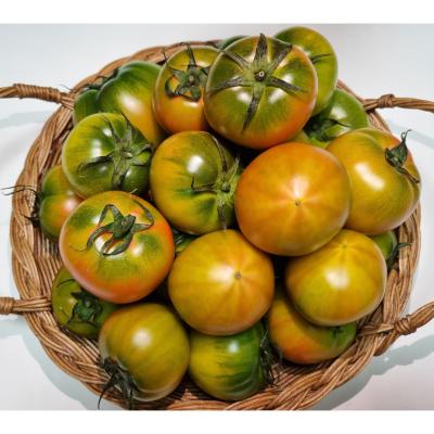 대저짭짤이토마토 [오픈기념할인] 부산 대저 짭짤이 토마토 2.5kg 중과 M 당도보장 짭짜리 대저 토마토 최창명 농부