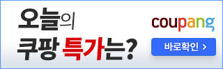 대전선화동실비김치 대전 실비 김치 맛있게 매운 수제 배추김치, 땡초 매운 김치 1kg